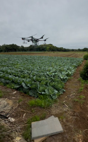 キャベツ・豆の殺虫殺菌