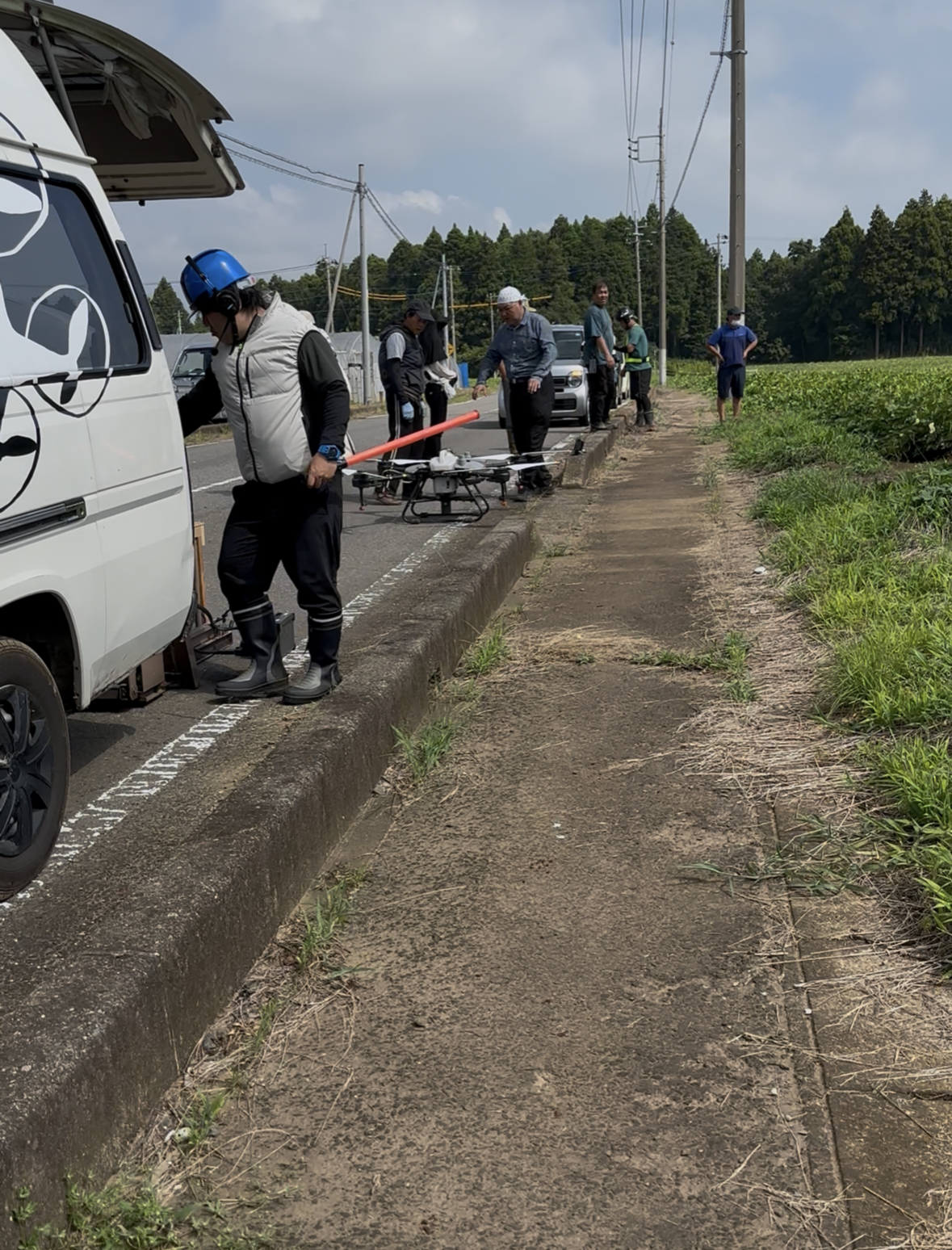 かんしょの殺虫殺菌